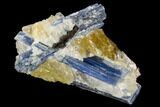 Vibrant Blue Kyanite Crystals In Quartz - Brazil #118863-1